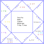 Terry Fox - kwadrat
